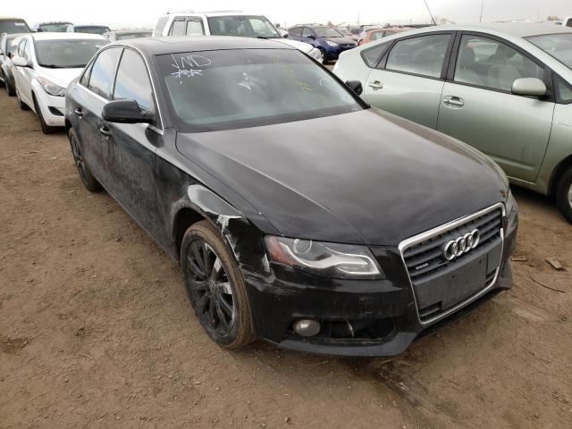 AUDI A4 PREMIUM 2010 wauffafl5an038275