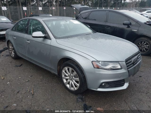 AUDI A4 2010 wauffafl5an048370