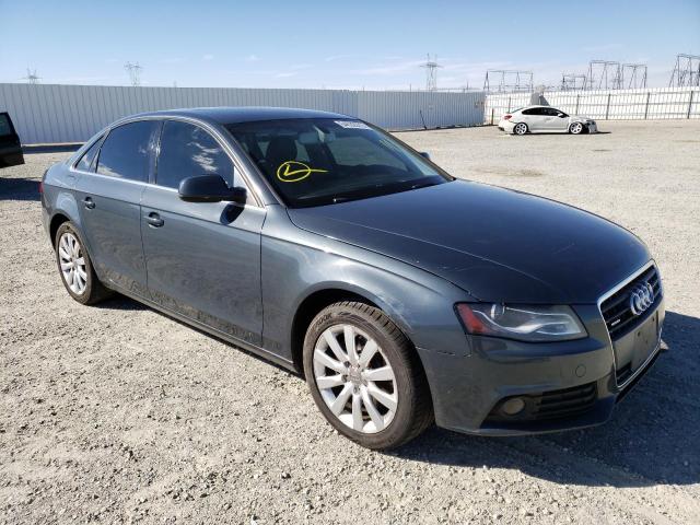 AUDI A4 PREMIUM 2010 wauffafl5an058588