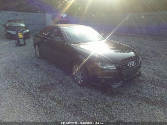 AUDI A4 2010 wauffafl5an063886