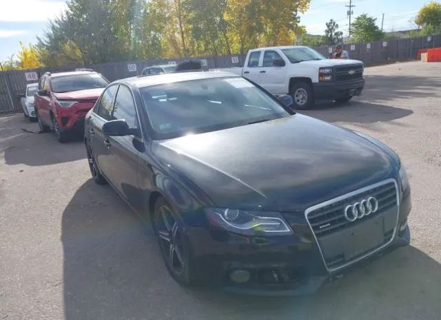 AUDI A4 2010 wauffafl5an066903