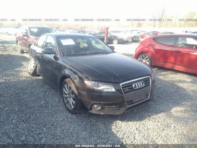 AUDI A4 2010 wauffafl5an067839