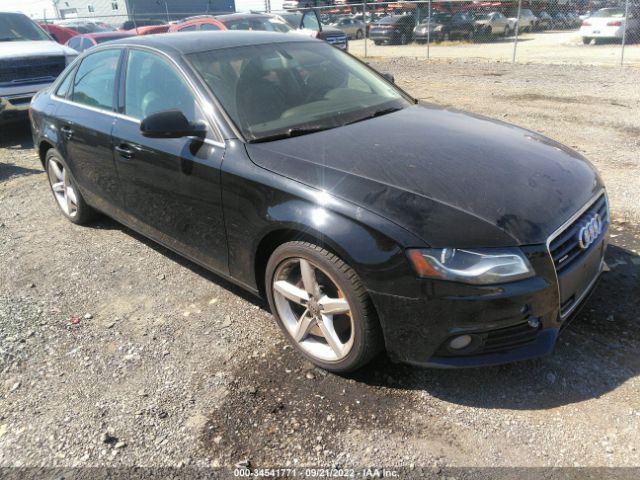 AUDI A4 2010 wauffafl5an067856