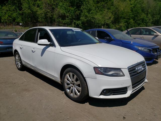 AUDI A4 2011 wauffafl5bn025673