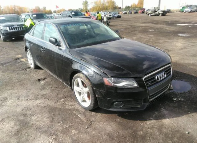 AUDI A4 2011 wauffafl5bn036012