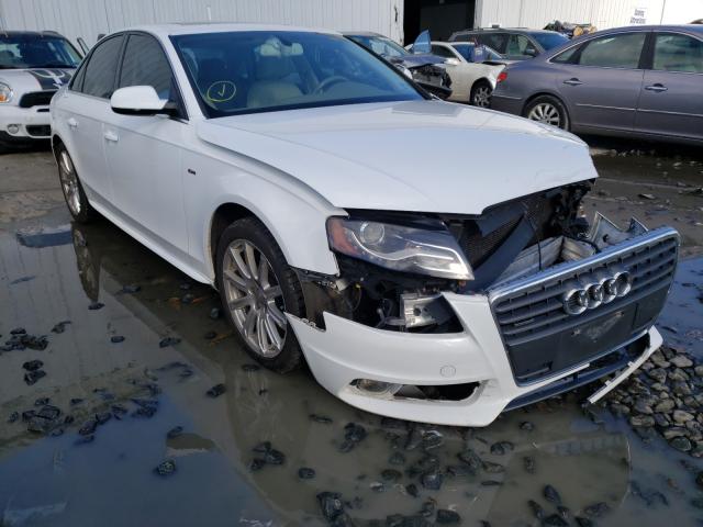 AUDI A4 PREMIUM 2012 wauffafl5cn019857