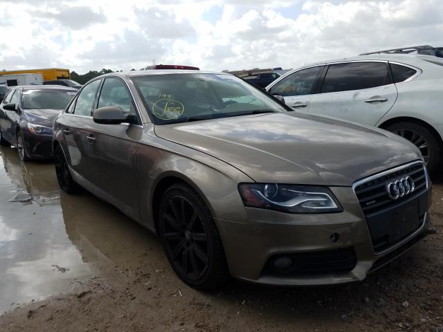 AUDI NULL 2010 wauffafl6an058941