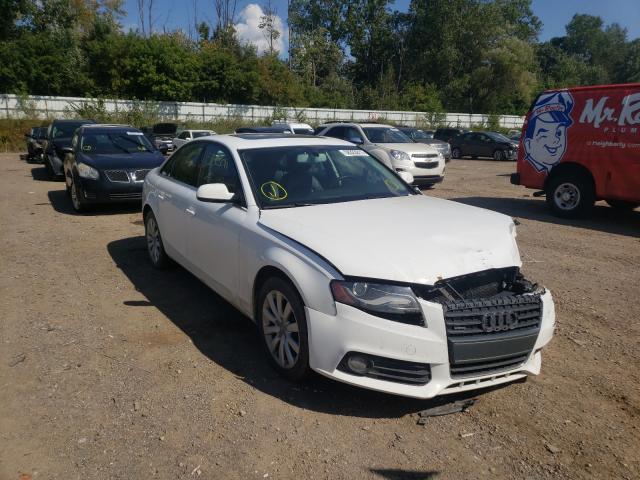 AUDI A4 PREMIUM 2011 wauffafl6bn044703