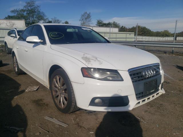 AUDI A4 PREMIUM 2010 wauffafl7an024023