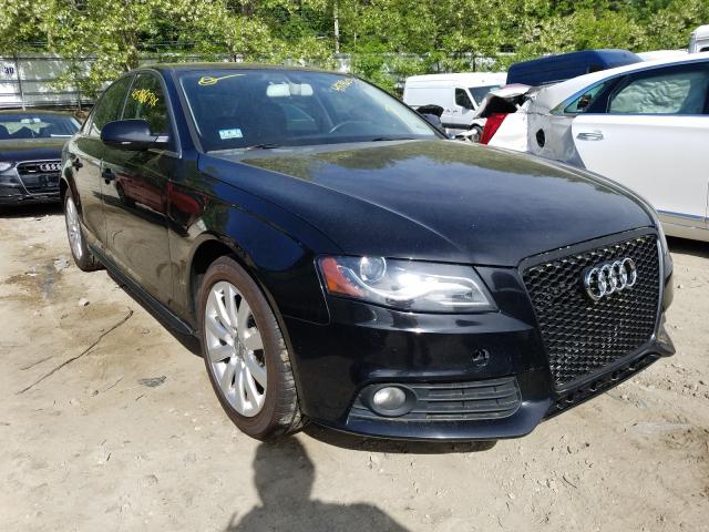 AUDI A4 PREMIUM 2010 wauffafl7an030601