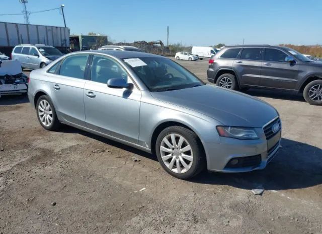 AUDI A4 2010 wauffafl7an051268