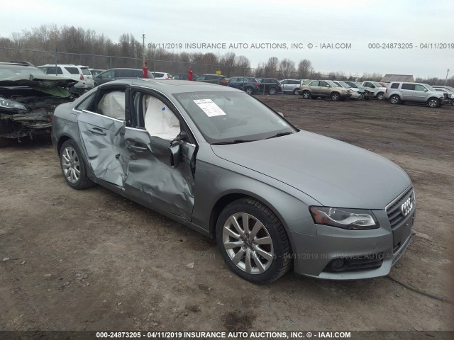 AUDI A4 2010 wauffafl7an054672