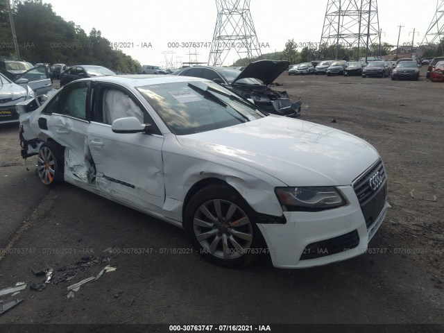 AUDI A4 2010 wauffafl7an058298