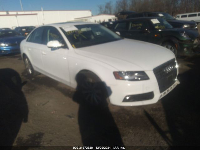 AUDI A4 2010 wauffafl7an059435