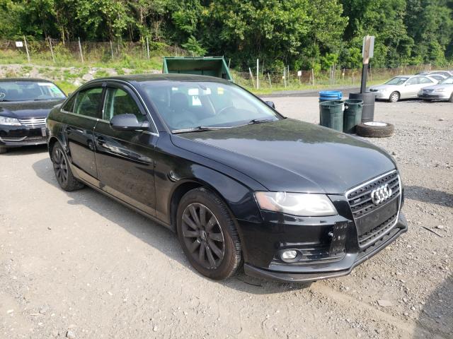 AUDI A4 PREMIUM 2010 wauffafl7an066286