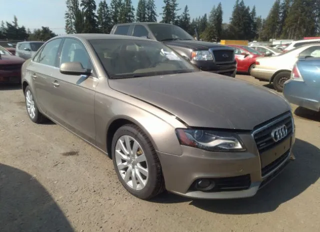 AUDI A4 2011 wauffafl7bn010480