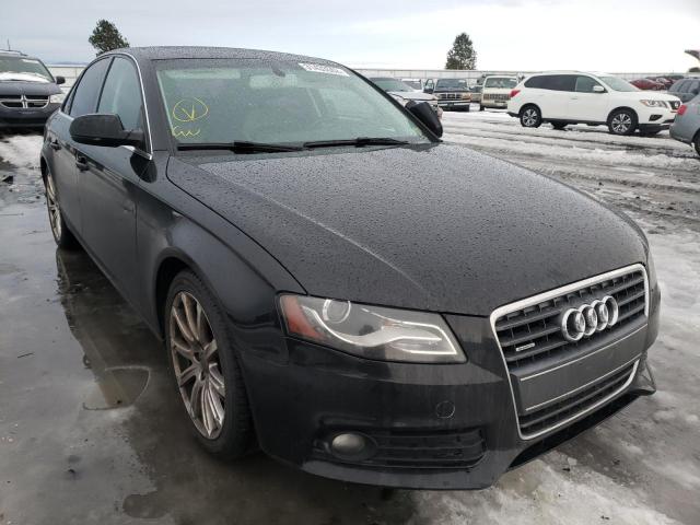 AUDI A4 PREMIUM 2010 wauffafl8aa048371