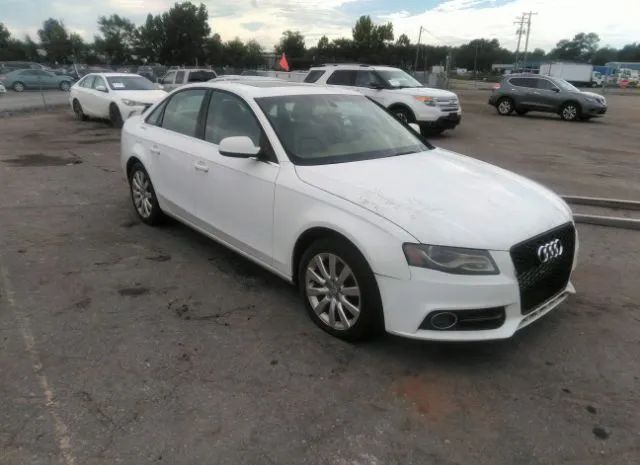 AUDI A4 2010 wauffafl8an005917