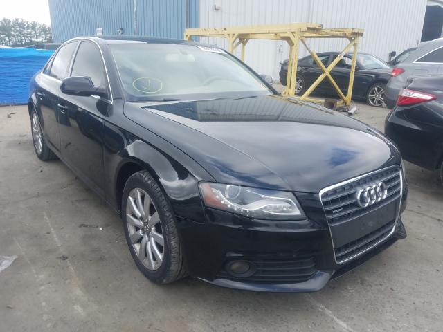 AUDI A4 PREMIUM 2010 wauffafl8an025830