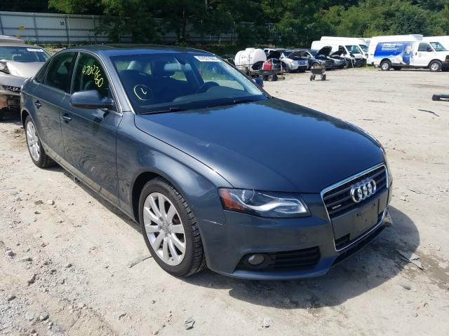 AUDI A4 2009 wauffafl8an031417