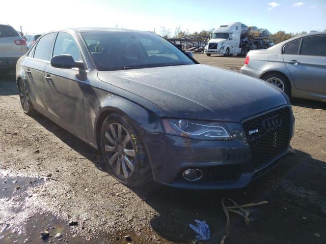 AUDI A4 PREMIUM 2010 wauffafl8an051604