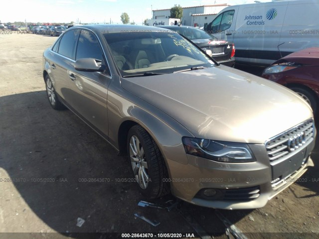 AUDI A4 2010 wauffafl8an054776