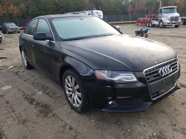 AUDI A4 PREMIUM 2010 wauffafl8an055409