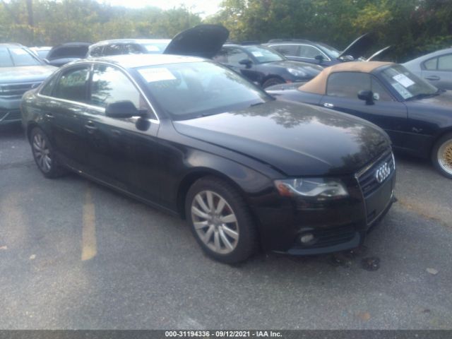 AUDI A4 2011 wauffafl8bn031743