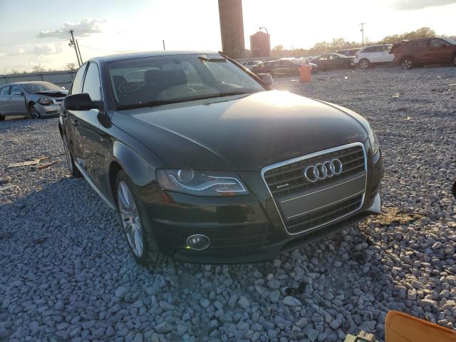 AUDI A4 PREMIUM 2012 wauffafl8cn021442