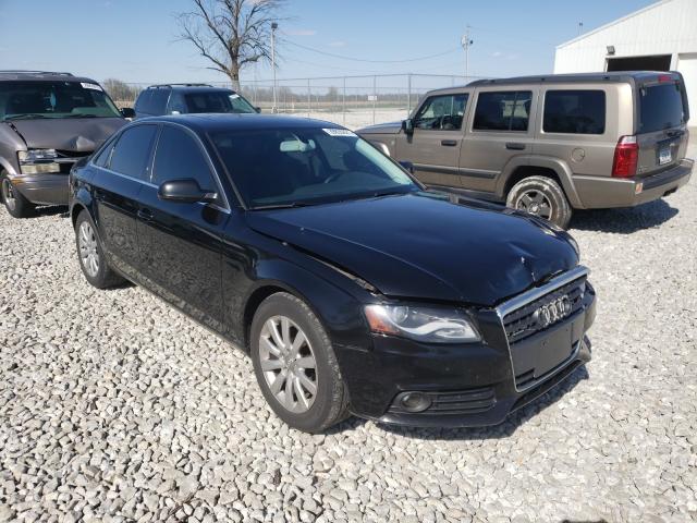 AUDI A4 PREMIUM 2010 wauffafl9an064927