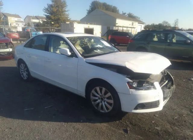 AUDI A4 2011 wauffafl9bn056179