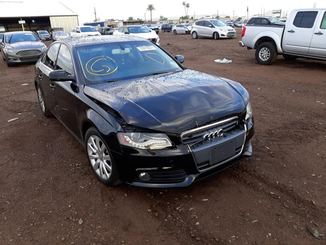 AUDI A4 PREMIUM 2010 wauffaflxan002484