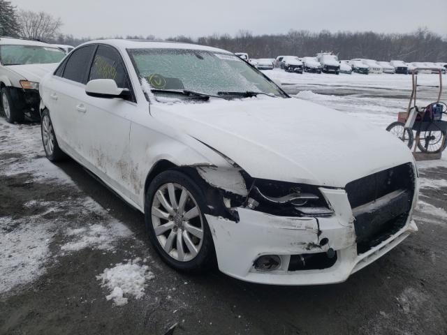 AUDI A4 PREMIUM 2010 wauffaflxan013694