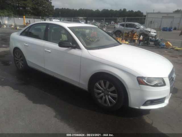 AUDI A4 2010 wauffaflxan013811