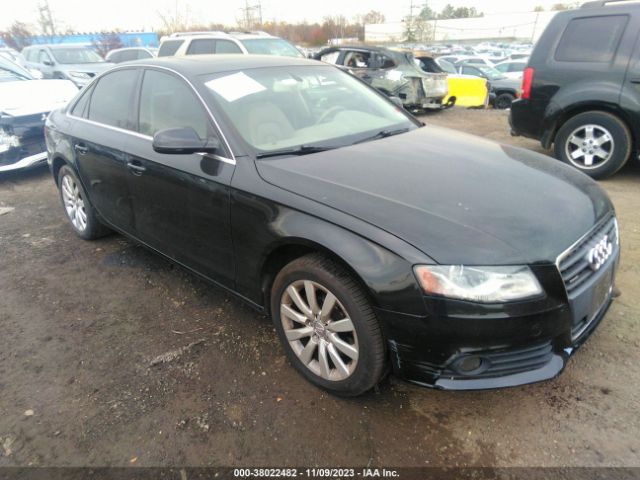 AUDI A4 2010 wauffaflxan019480