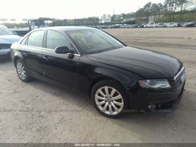 AUDI A4 2010 wauffaflxan020547