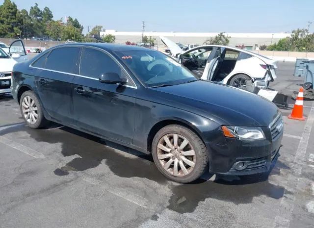 AUDI A4 2010 wauffaflxan022377