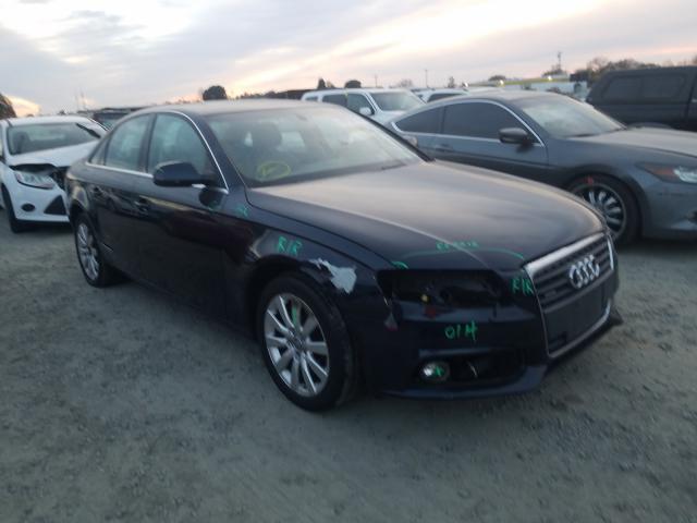 AUDI A4 PREMIUM 2010 wauffaflxan033248