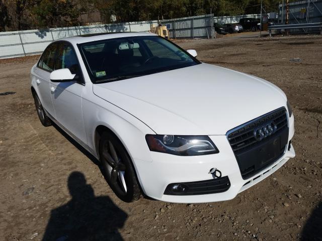 AUDI A4 PREMIUM 2010 wauffaflxan035419