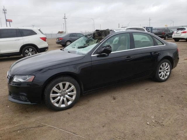 AUDI A4 PREMIUM 2010 wauffaflxan042354