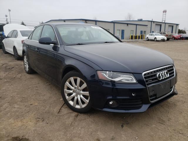 AUDI A4 PREMIUM 2010 wauffaflxan043682