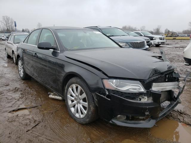 AUDI A4 PREMIUM 2010 wauffaflxan045299