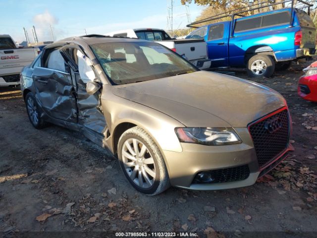 AUDI A4 2010 wauffaflxan045853