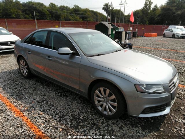 AUDI A4 2010 wauffaflxan052009