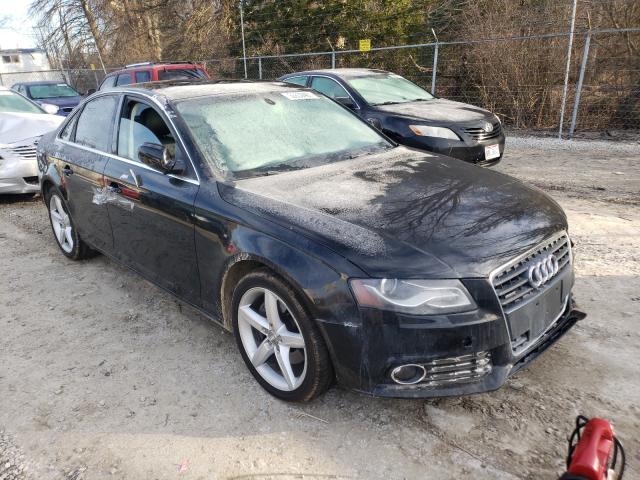 AUDI A4 PREMIUM 2010 wauffaflxan052382