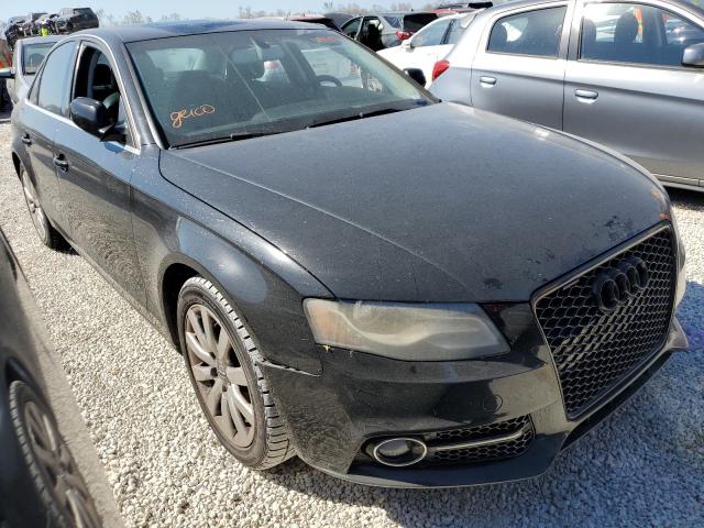 AUDI A4 PREMIUM 2010 wauffaflxan055248