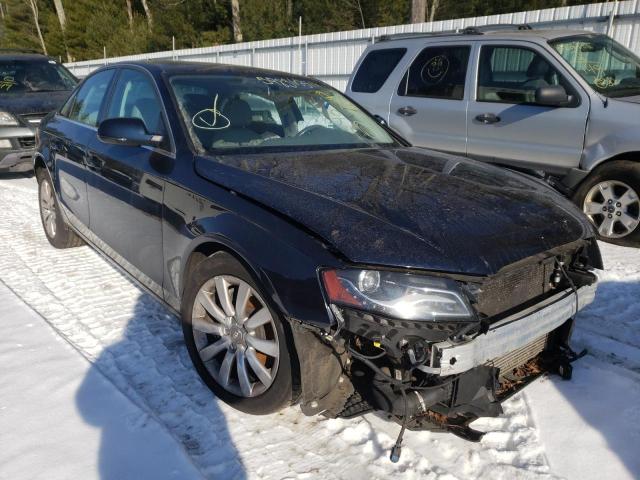 AUDI A4 PREMIUM 2010 wauffaflxan056349