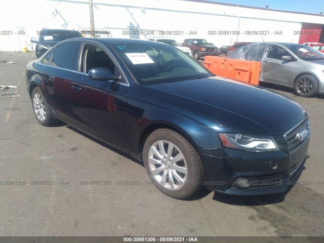 AUDI A4 2010 wauffaflxan057663