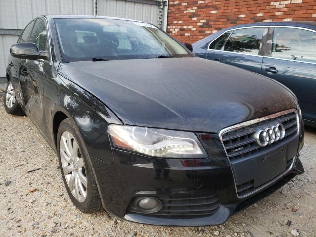 AUDI A4 PREMIUM 2010 wauffaflxan057811