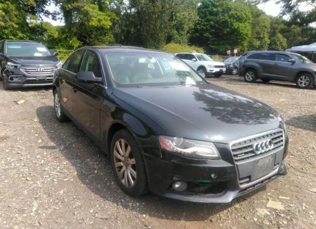 AUDI A4 2010 wauffaflxan060630